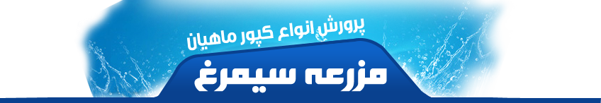 پرورش بچه ماهی کپور
